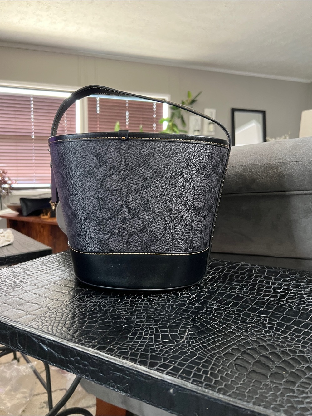 Coach Halloween Bucket - Picture 2 of 4